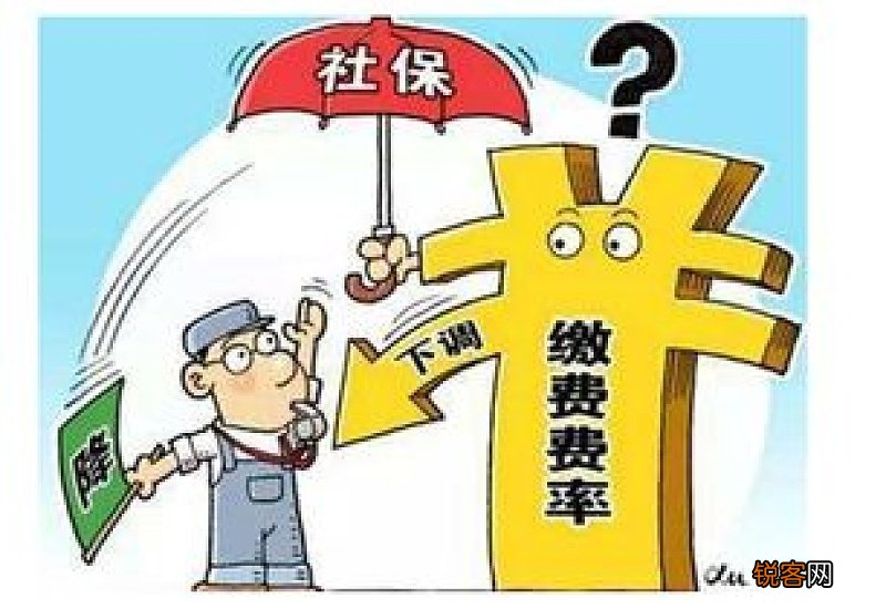 职工失业后如何申领失业保险金?