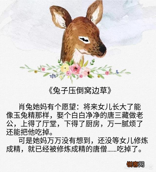 最近看小说上瘾了,谁能推荐一本好看的小说？