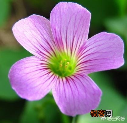 你觉得平凡和平庸的差别是什么?