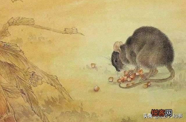 凌晨一点了,楼下还在把自家当ktv咚咚咚的吵,难以入睡怎么办？