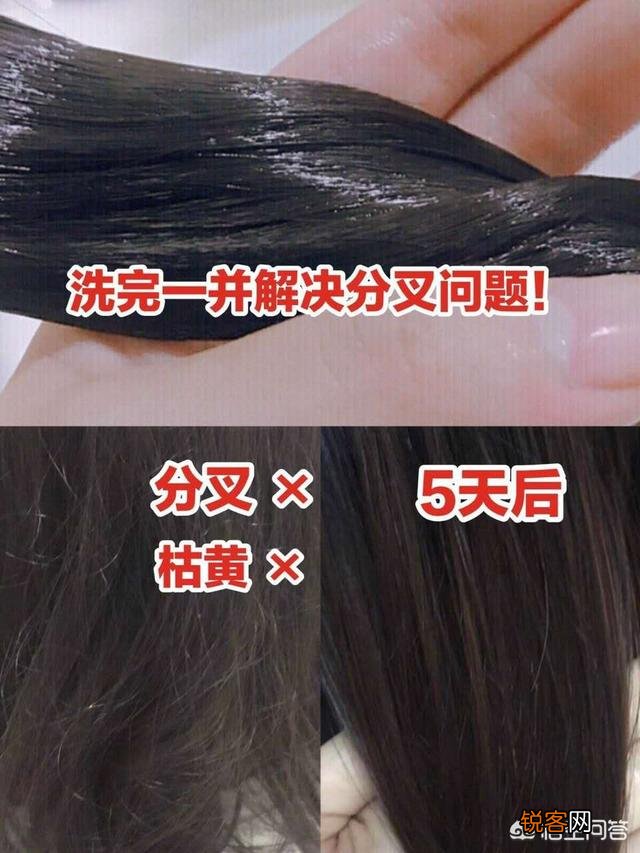 什么洗发水去油？我的头发很油,隔一天不洗就很油腻怎么办？