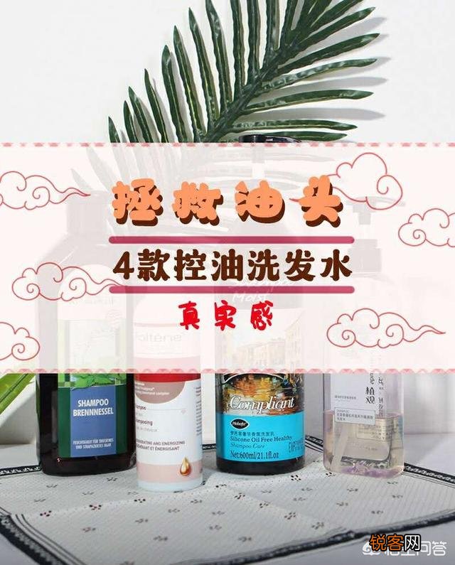 什么洗发水去油？我的头发很油,隔一天不洗就很油腻怎么办？