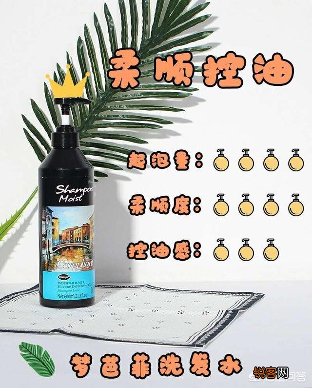 什么洗发水去油？我的头发很油,隔一天不洗就很油腻怎么办？