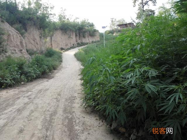 对于步入中年的人来说,要学会哪些聪明的事？