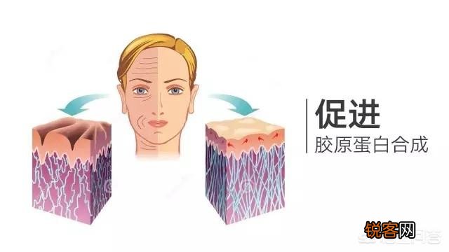 有哪些真正安全好用的美白护肤品成分？