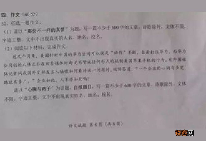 那一次我真中考优秀作文
