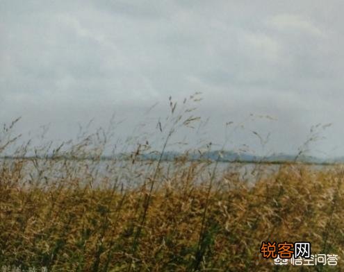 没有钱和技术,学历文凭也不高的人想自己创业,做什么比较好？