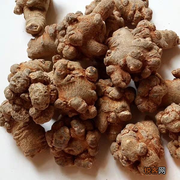 想种植中药材,什么品种不愁销路？产量高,利润大些？