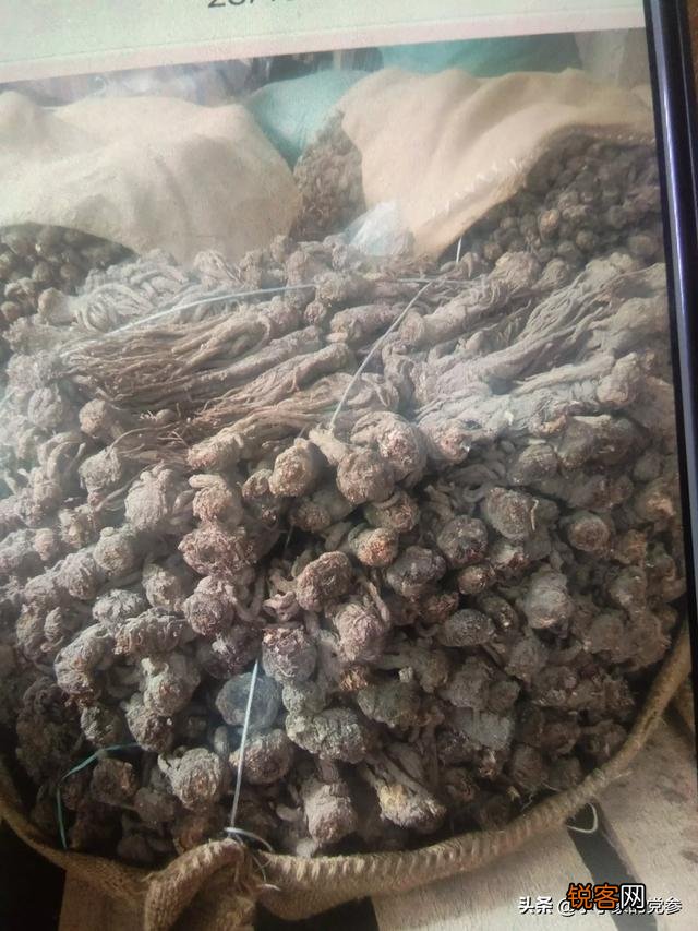 想种植中药材,什么品种不愁销路？产量高,利润大些？