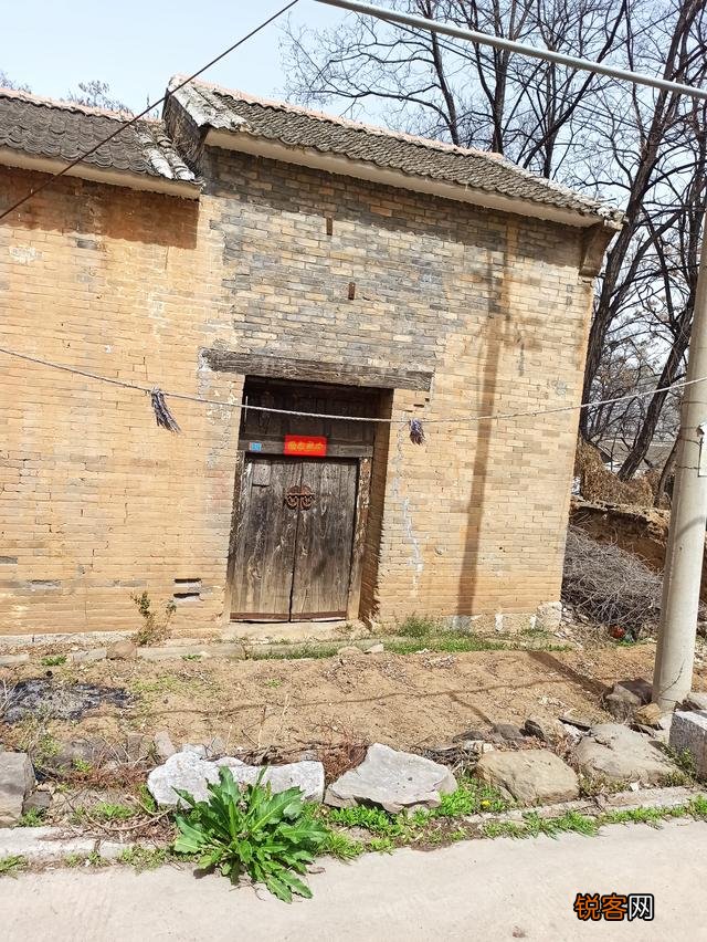 老话说:“家兴出恶犬,家败生瓦松”,“瓦松”是什么东西?