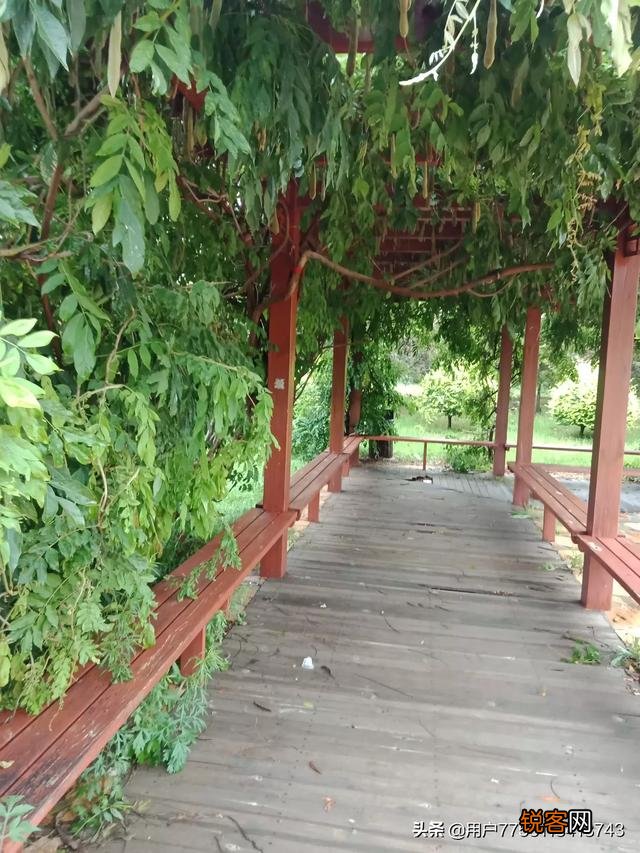 古代和现代,你姓氏里最出名的人物是谁?