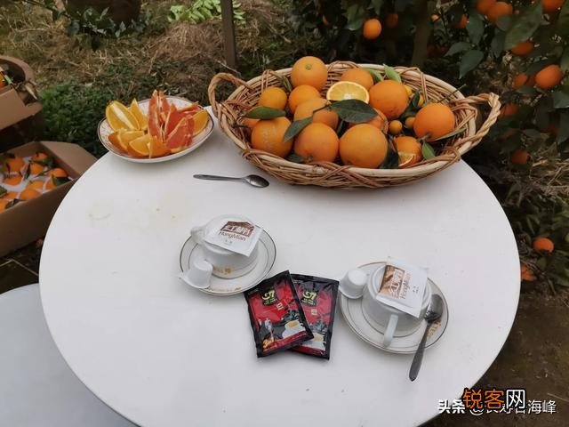一些果农丢果,一些消费者买不起果,能不能去掉中间商？