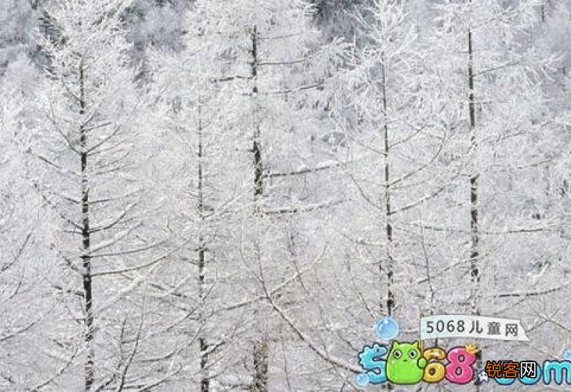冬天的第一场雪作文10篇