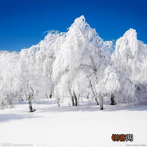 要下雪了,你认为描写雪景最经典的诗句是什么?