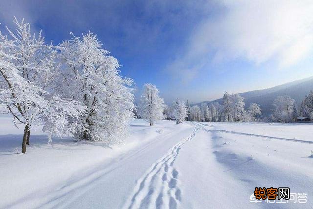 要下雪了,你认为描写雪景最经典的诗句是什么?