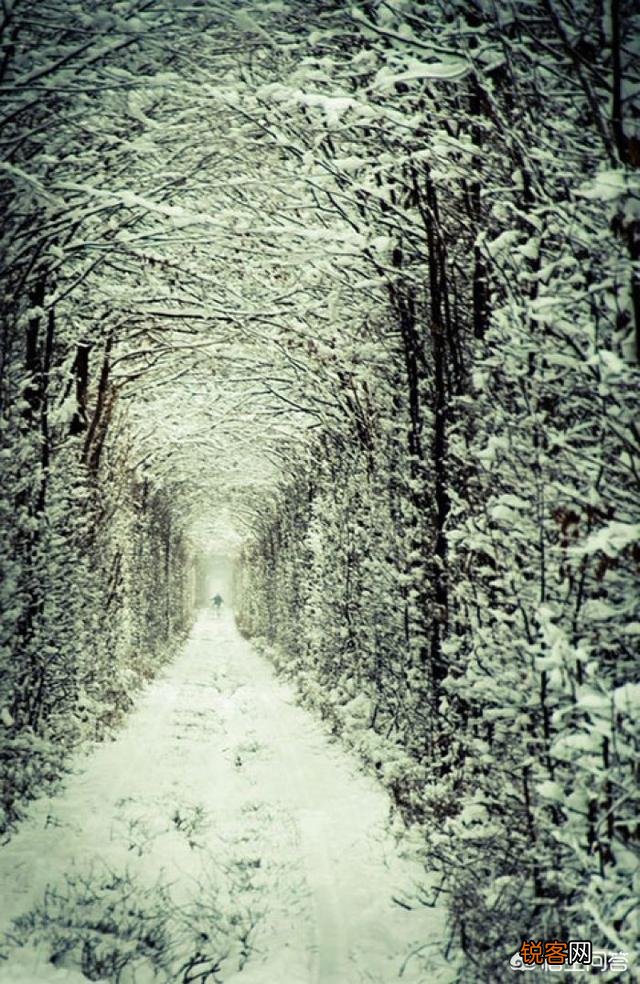 要下雪了,你认为描写雪景最经典的诗句是什么?