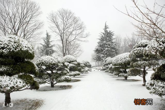 描写雪景的唯美古诗有哪些？
