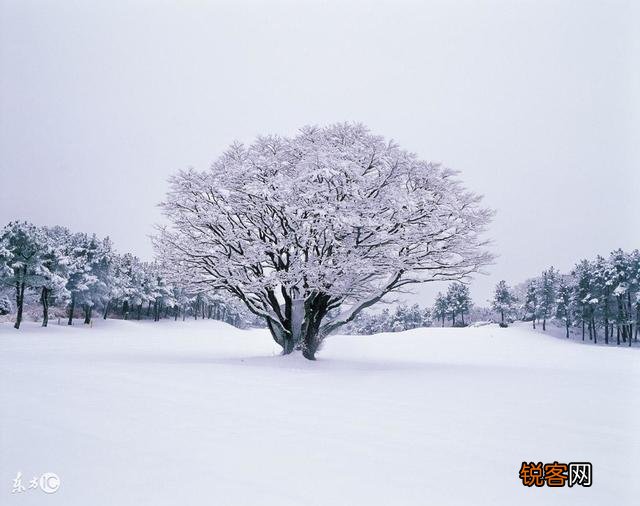 描写雪景的唯美古诗有哪些？