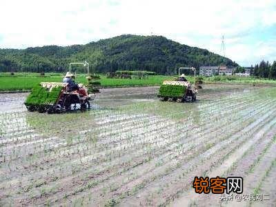 中国南方农业怎么没办法实现机械化,为什么?