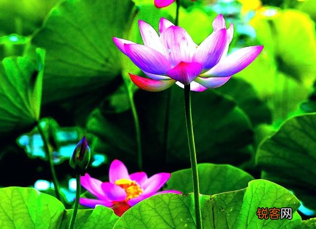 有没有人懂相机啊,能给我推荐一个价格合适的牌子的？
