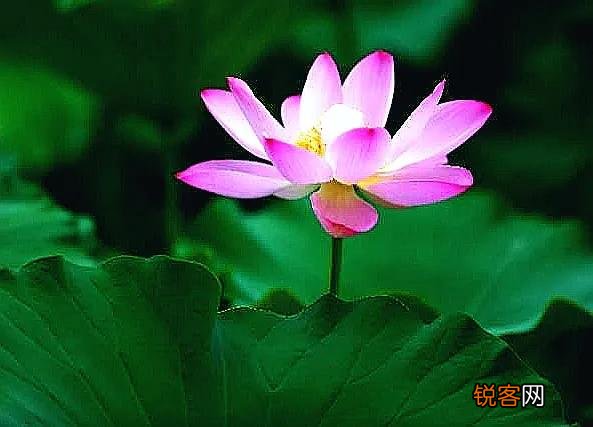 有没有人懂相机啊,能给我推荐一个价格合适的牌子的？