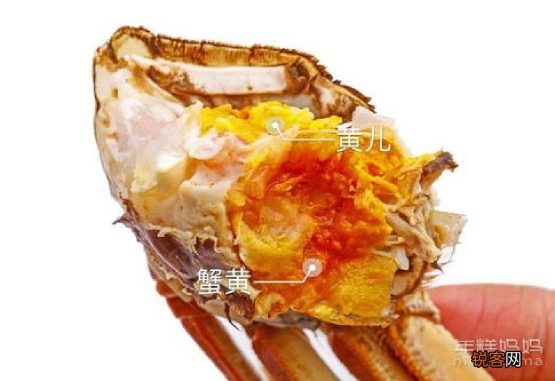 螃蟹除了蟹黄还有黄黄的是什么