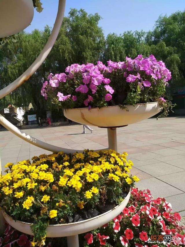 书荒,有推荐的好的比较长的仙侠类小说吗？