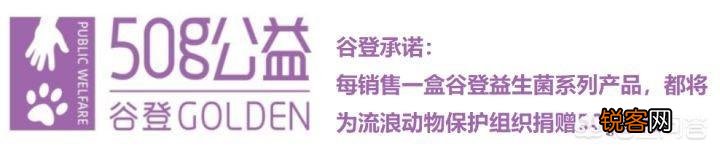 什么猫最好养？