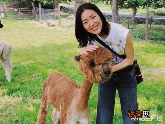 小眼睛单眼皮的明星都有谁?