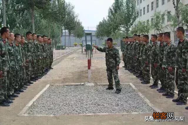 大专毕业,当两年义务兵,留队转士官合算吗？