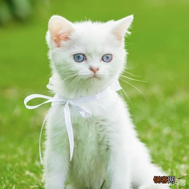 想离婚却不舍得,怎么办?