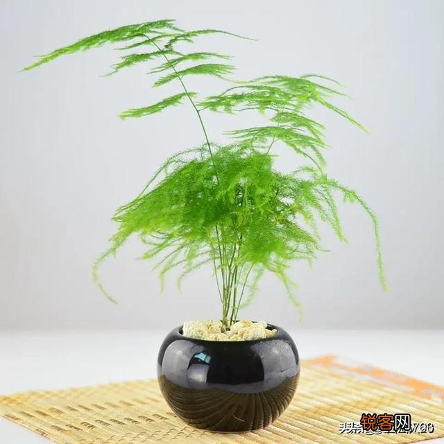今天得知前妻已结婚,别人告诉我的,心里为什么这么难受?