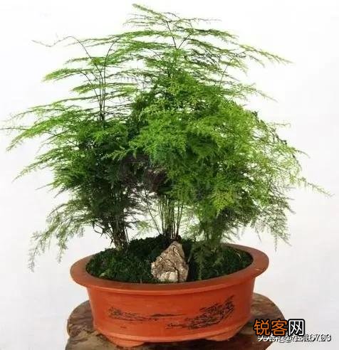 今天得知前妻已结婚,别人告诉我的,心里为什么这么难受?