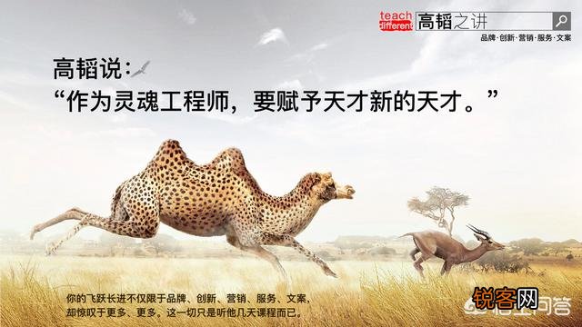 企业该如何利用品牌营销推广来打响企业的品牌呢？