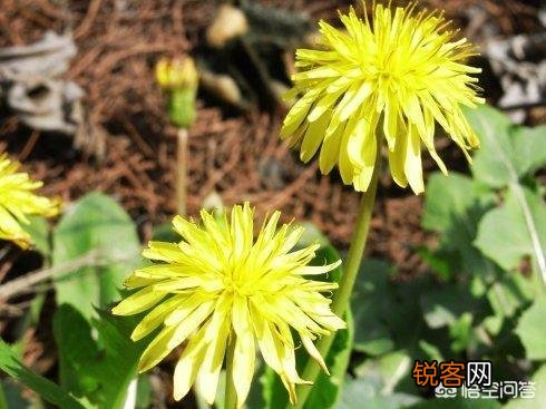 17岁高一女孩肚大如孕,去医院查出肝腹水！母亲痛哭：全都怪我啊！母亲做了什么？