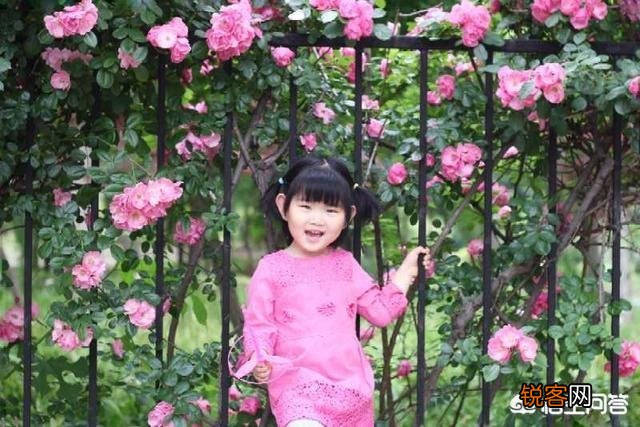 上联:花容月貌,莫若徐娘半老,下联怎么对?