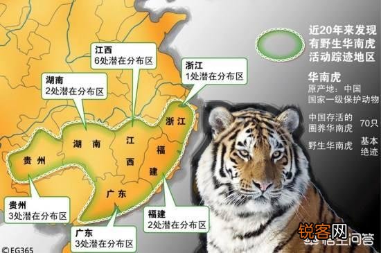 云南有老虎吗？如果有,应该属于孟加拉虎吗？