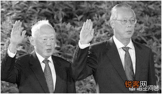 东南亚一些国家设立的资政是个什么官？权力有多大？