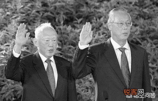 东南亚一些国家设立的资政是个什么官？权力有多大？