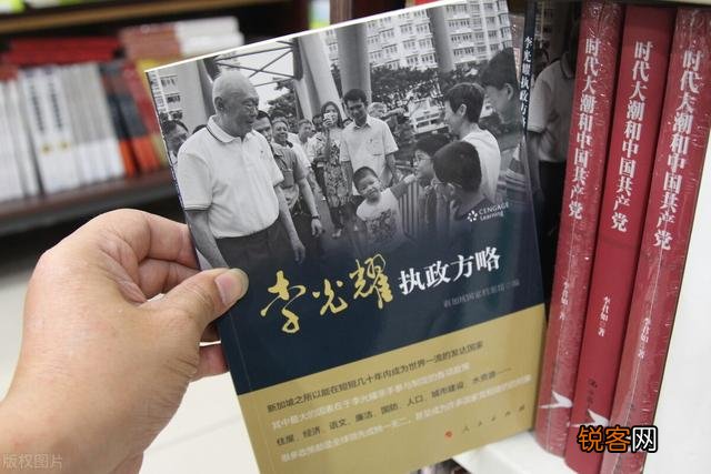 东南亚一些国家设立的资政是个什么官？权力有多大？