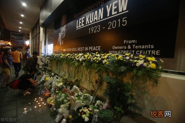 东南亚一些国家设立的资政是个什么官？权力有多大？