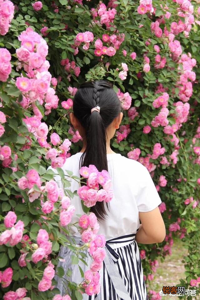 男人对女人的吸引力到底有哪些？