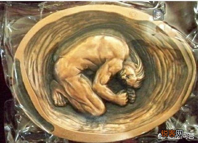 为何说封神演义中的女娲娘娘是妖族圣人？