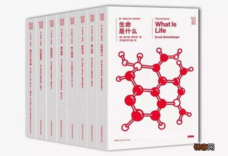 肃然起敬怎么造句,肃然起敬成语造句