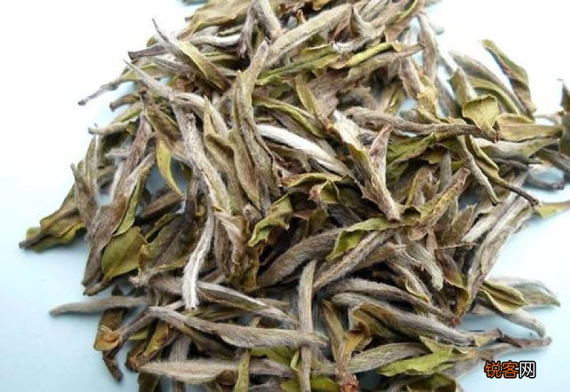白茶是热茶还是凉茶