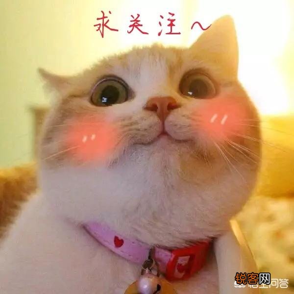 王者荣耀kpl职业选手里,谁是顶级上单?