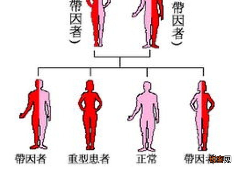 2023柳州患有地中海贫血可增加被救助力度