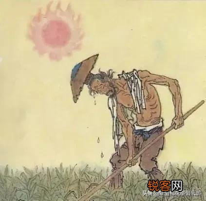 《悯农》中“锄禾日当午”锄的是什么农作物？肯定不是玉米？