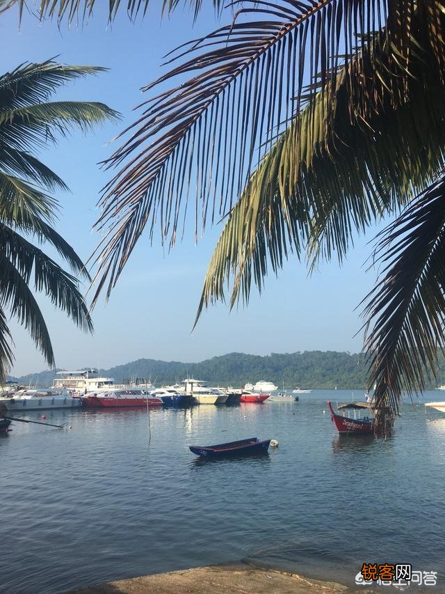 为什么去泰国旅行到处都是中文,有的泰国人也会点汉语?