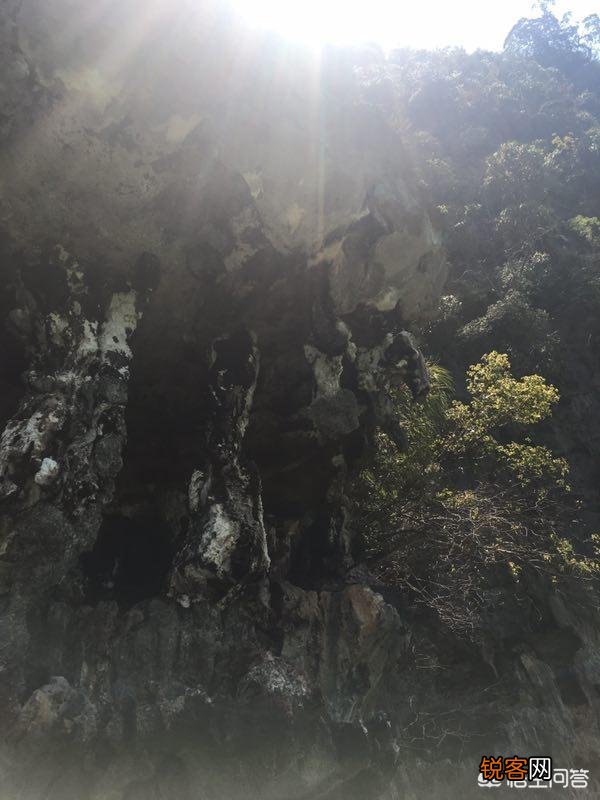 为什么去泰国旅行到处都是中文,有的泰国人也会点汉语?